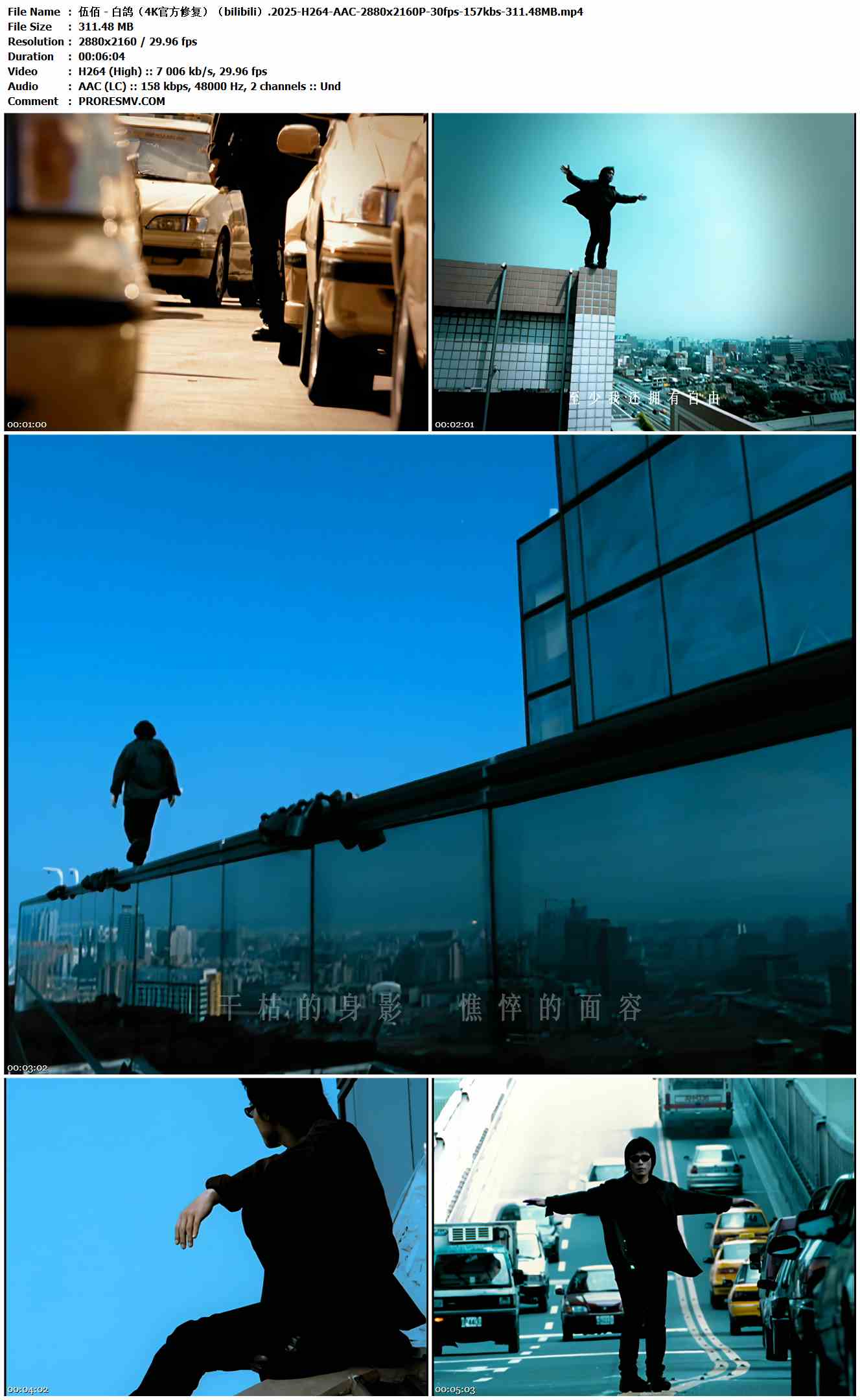 伍佰 - 白鸽（4K官方修复）（bilibili）.2025-H264-AAC-2880x2160P-30fps-157kbs-311.48MB官方MV_高清MV
